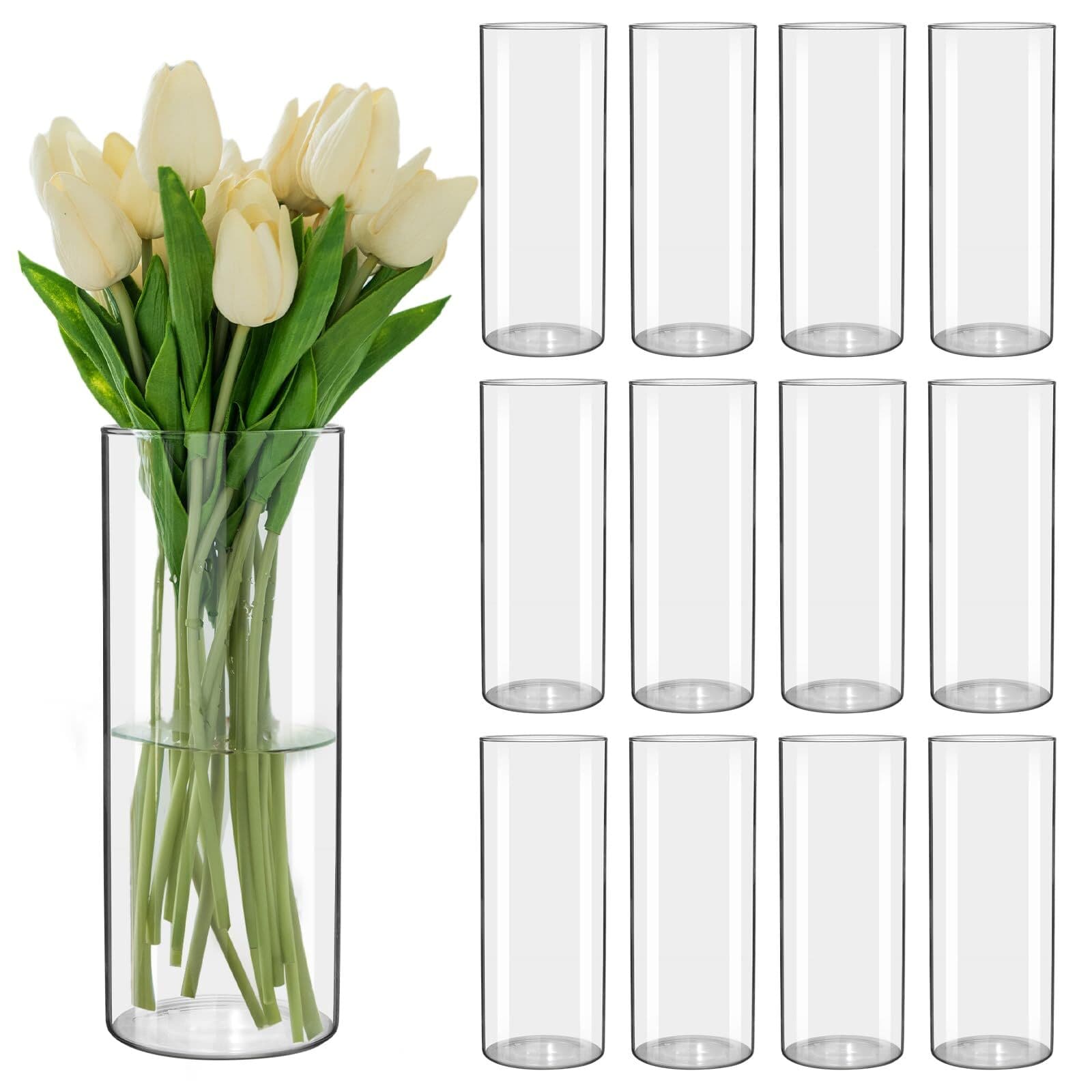 Glass Cylinder Vases (4 to 10 inch)